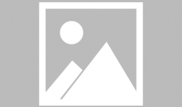 光头强搞笑视频,欢乐无限，笑料横生